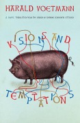 Cover-Bild zum Titel 'Visions and Temptations' von 'Harald Voetmann'