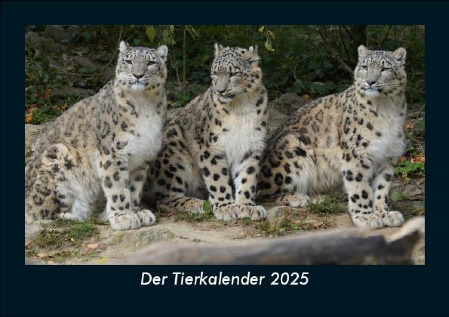 Der Tierkalender 2025 Fotokalender DIN A5 - Tobias Becker