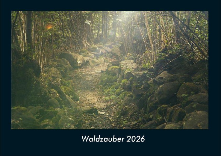 Waldzauber 2026 Fotokalender DIN A4 - Tobias Becker
