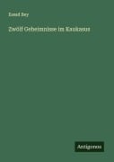 Cover-Bild zum Titel 'Zwölf Geheimnisse im Kaukasus' von 'Essad Bey'