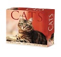 Cats 2024 6.2 X 5.4 Box Calendar - Willow Creek Press