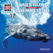 13: Wale & Delfine / Geheimnis Tiefsee - Manfred Baur, Nils Bergholz, Valentin Boomes, Chillheimer, Doug Collins