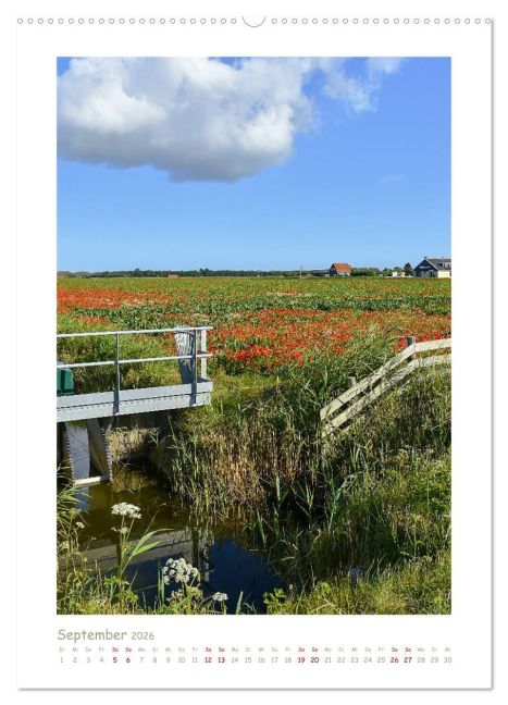 InsideView 14