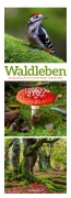 Waldleben Triplet-Kalender 2026 | Spaziergang durch heimische Wälder - 