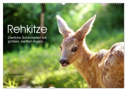 Rehkitze, zierliche Schönheiten mit großen, sanften Augen (Wandkalender 2025 DIN A2 quer), CALVENDO Monatskalender - Sabine Löwer