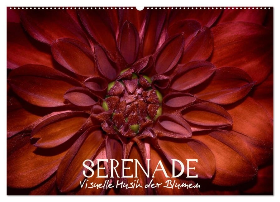 Serenade - Visuelle Musik der Blumen (Wandkalender 2026 DIN A2 quer), CALVENDO Monatskalender - Vronja Photon