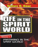 Cover-Bild zum Titel 'Life In The Spirit World Volume -1' von 'Venture Omor'