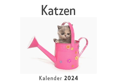 Katzen (Wandkalender 2024, Kalender DIN A4 quer, Monatskalender im Querformat mit Kalendarium, Das perfekte Geschenk) - Anna Müller