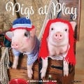 Pigs at Play 12 X 12 Wall Calendar - Willow Creek Press