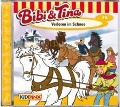 Cover-Bild zum Titel 'Folge 73:Verloren im Schnee' von 'Bibi & Tina'