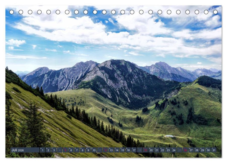 InsideView 12