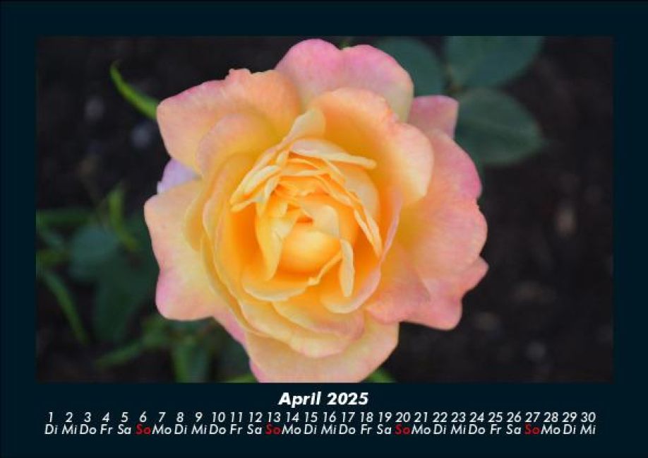 InsideView 8