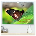 Fliegende Wunderwesen. Schmetterlinge weltweit, ganz nah (hochwertiger Premium Wandkalender 2024 DIN A2 quer), Kunstdruck in Hochglanz - Thomas Zeidler