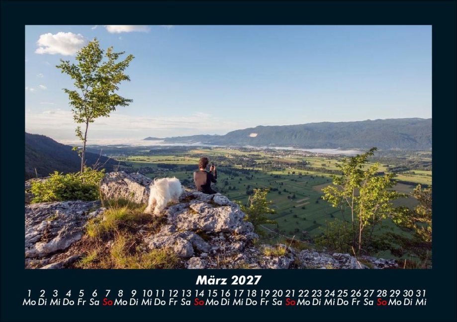 InsideView 7
