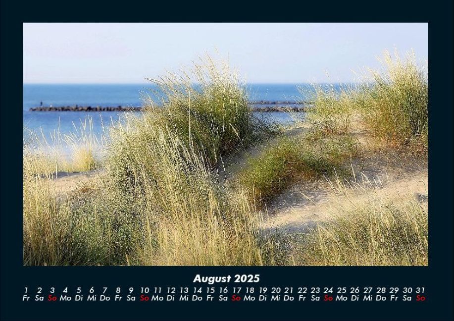 InsideView 12