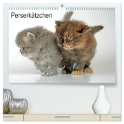 Cover-Bild zum Titel 'Perserkätzchen / CH-Version (hochwertiger Premium Wandkalender 2026 DIN A2 quer), Kunstdruck in Hochglanz' von 'Klaus Eppele'