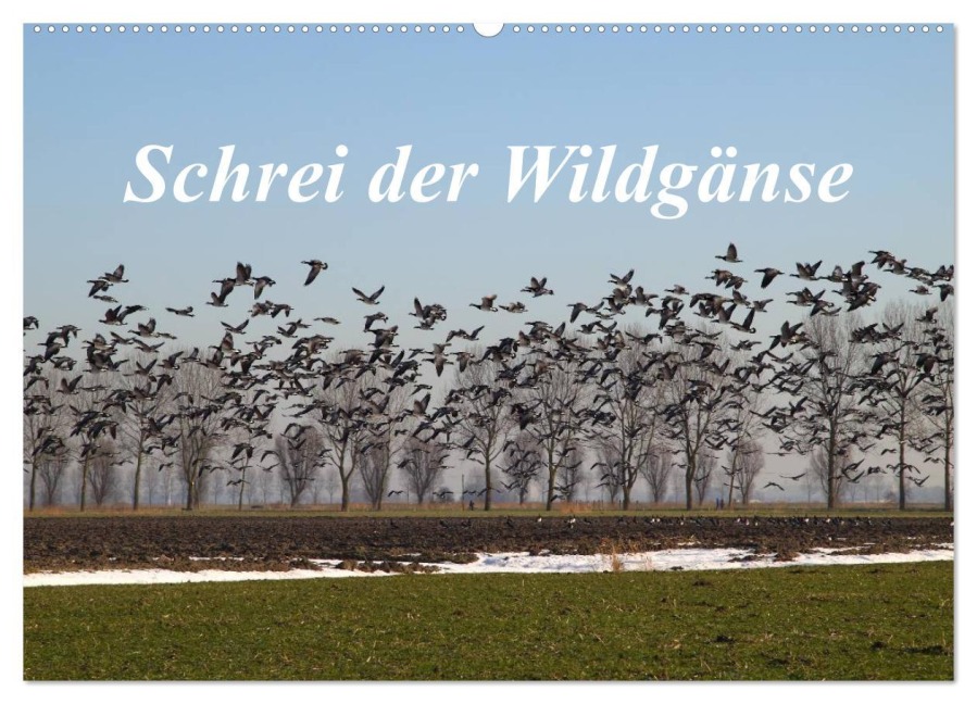Schrei der Wildgänse (Wandkalender 2026 DIN A2 quer), CALVENDO Monatskalender - Rolf Pötsch