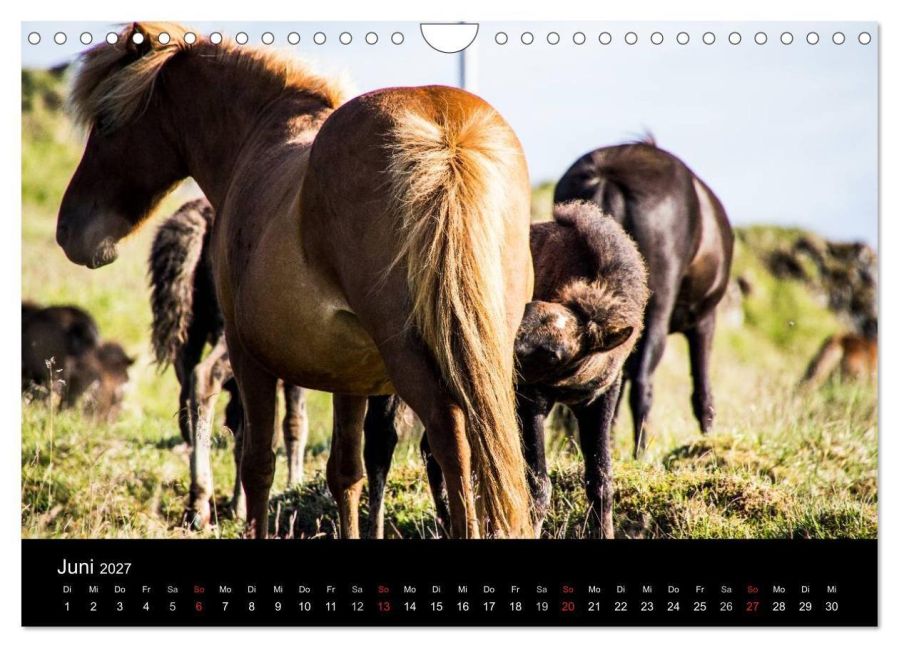 InsideView 11