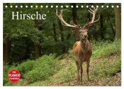 Cover-Bild zum Titel 'Hirsche (Tischkalender 2026 DIN A5 quer), CALVENDO Monatskalender' von 'Arno Klatt'