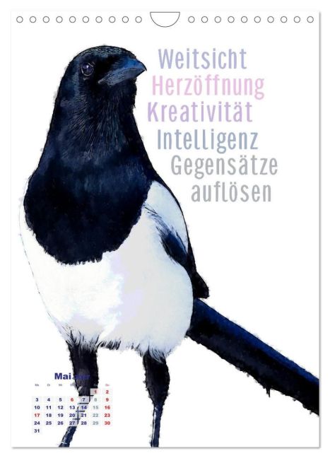 InsideView 10