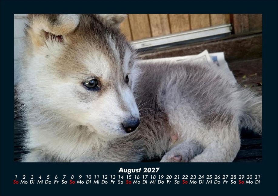 InsideView 12