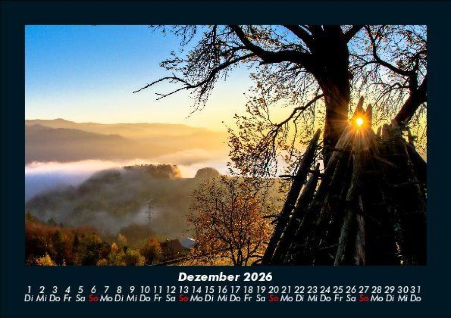 InsideView 4