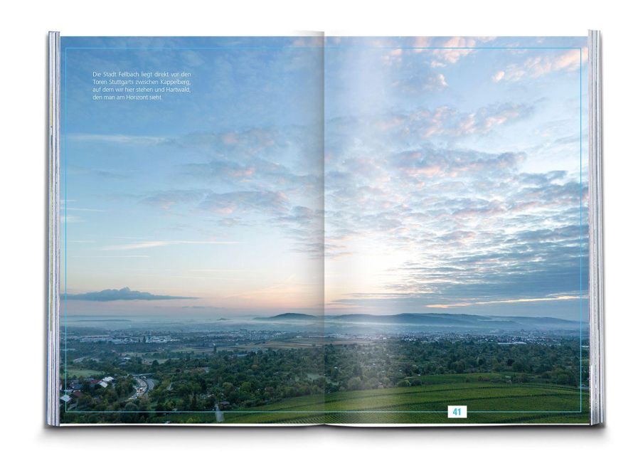 InsideView 2