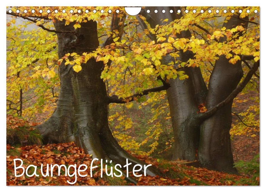 Baumgeflüster (Wandkalender 2026 DIN A4 quer), CALVENDO Monatskalender - Uwe Wittbrock
