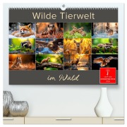 Cover-Bild zum Titel 'Wilde Tierwelt im Wald (hochwertiger Premium Wandkalender 2026 DIN A2 quer), Kunstdruck in Hochglanz' von 'Peter Roder'
