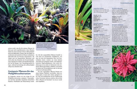 InsideView 2