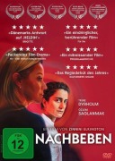 Cover-Bild zum Titel 'Nachbeben' von 'Zinnini Elkington, Jenny Rossander'