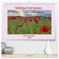 Wildblumenwiese Insektenparadies (hochwertiger Premium Wandkalender 2025 DIN A2 quer), Kunstdruck in Hochglanz - Claudia Kleemann