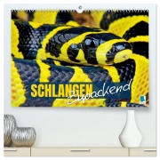 Cover-Bild zum Titel 'Schlangen: Zupackend (hochwertiger Premium Wandkalender 2026 DIN A2 quer), Kunstdruck in Hochglanz' von 'Calvendo Calvendo'