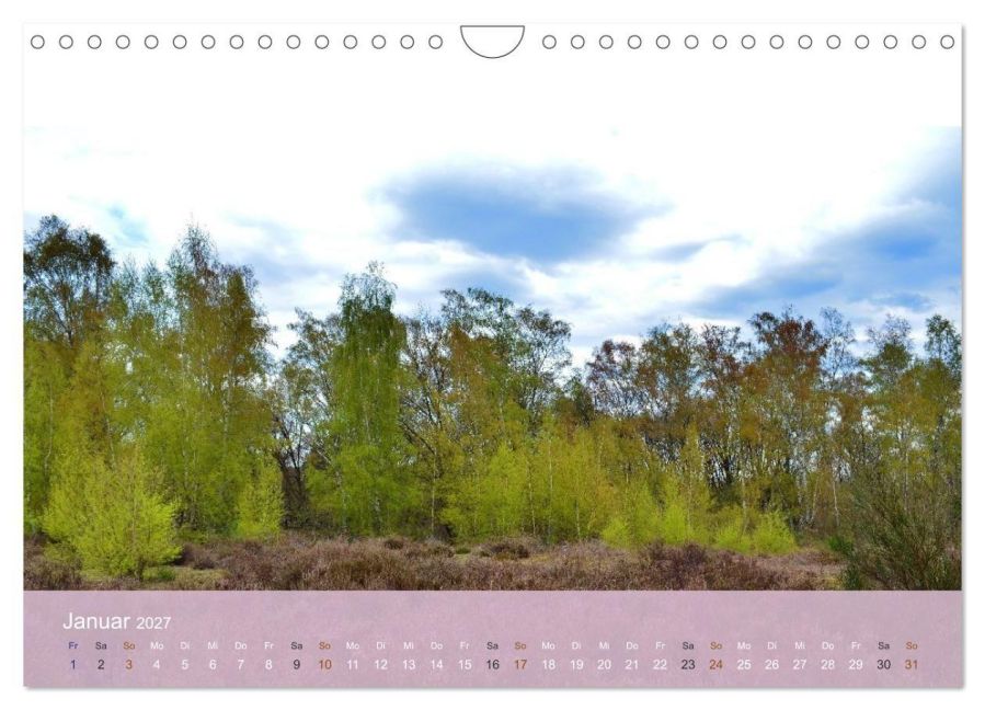 InsideView 6
