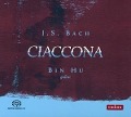 Ciaccona - Bin Hu