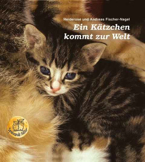 Ein Kätzchen kommt zur Welt - Heiderose Fischer-Nagel, Andreas Fischer-Nagel