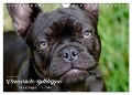 Französische Bulldoggen - Schutzengel auf 4 Pfoten (Wandkalender 2024 DIN A4 quer), CALVENDO Monatskalender - Kerstin Grüttner