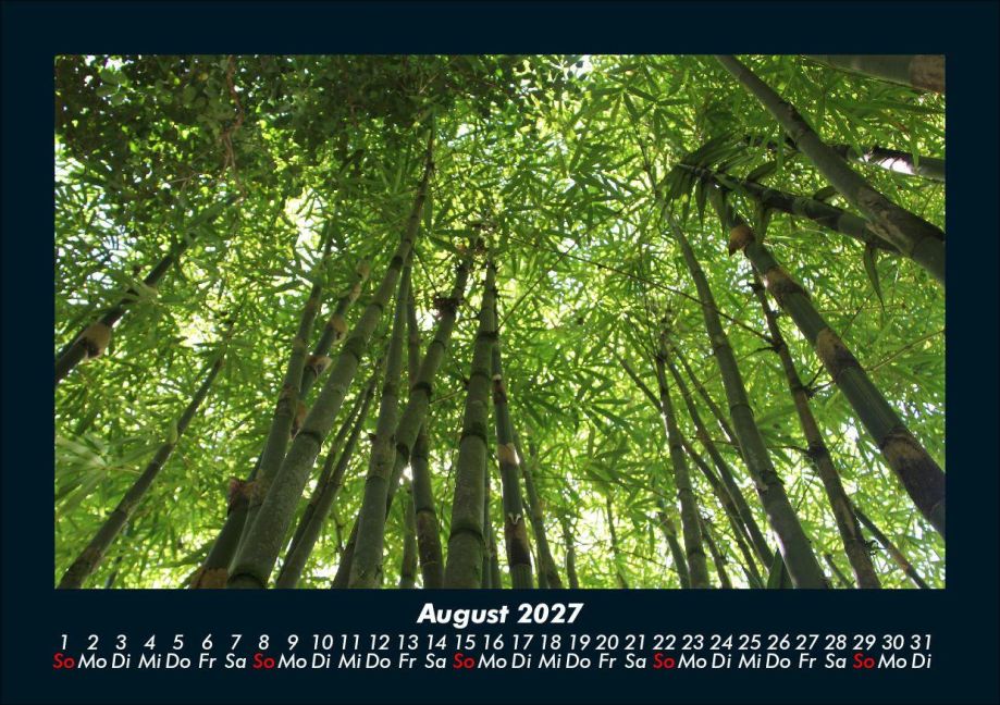 InsideView 12