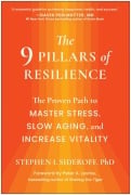 Cover-Bild zum Titel 'The 9 Pillars of Resilience' von 'Stephen I. Sideroff'