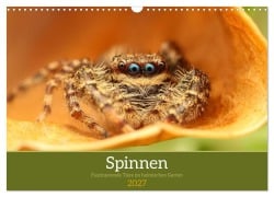 Cover-Bild zum Titel 'Spinnen - Faszinierende Tiere im heimischen Garten (Wandkalender 2027 DIN A3 quer), CALVENDO Monatskalender' von 'Petra Jung'