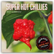Cover-Bild zum Titel 'Super Hot Chillies 2027 - 16-Monatskalender' von 'The Gifted'