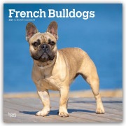 Cover-Bild zum Titel 'French Bulldogs - Französische Bulldogge 2027 - 16-Monatskalender' von 'Browntrout Publishers'