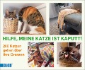 Hilfe, meine Katze ist kaputt - 