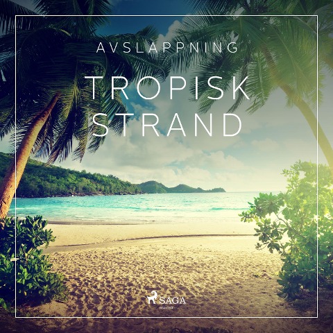 Avslappning - Tropisk strand - Rasmus Broe