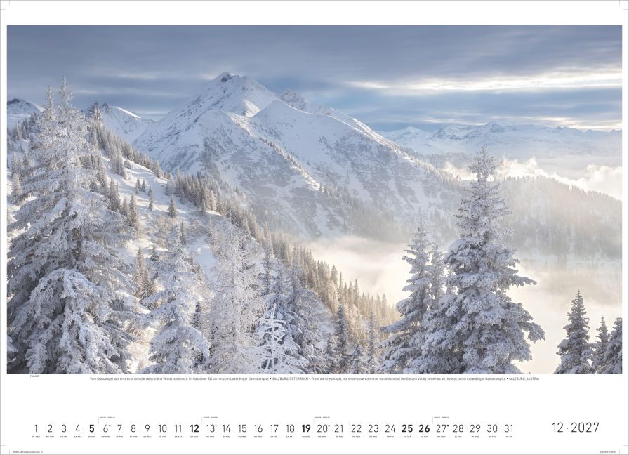 InsideView 6