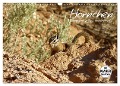 Hörnchen - neugierig, putzig, liebenswert (Wandkalender 2024 DIN A3 quer), CALVENDO Monatskalender - Jana Thiem-Eberitsch