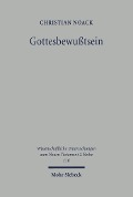Cover-Bild zum Titel 'Gottesbewußtsein' von 'Christian Noack'
