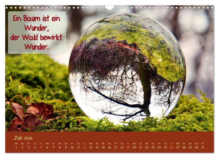 InsideView 12