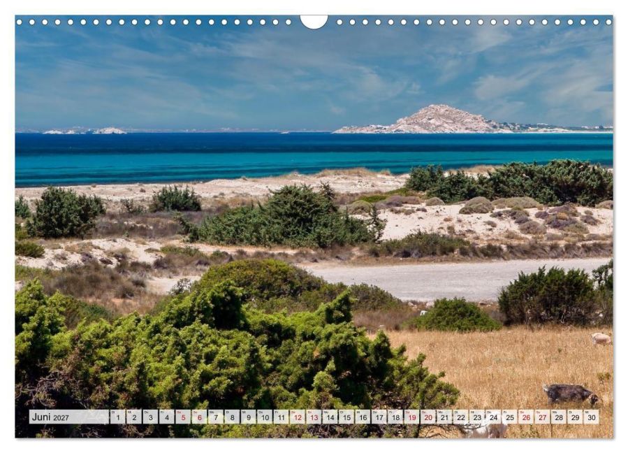InsideView 11