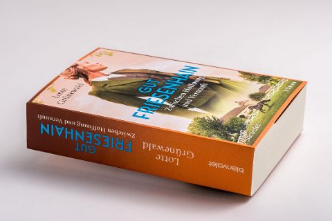 InsideView 3